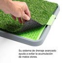 Kit de entrenamiento para perros: tapete sanitario + cepillo GRÁTIS